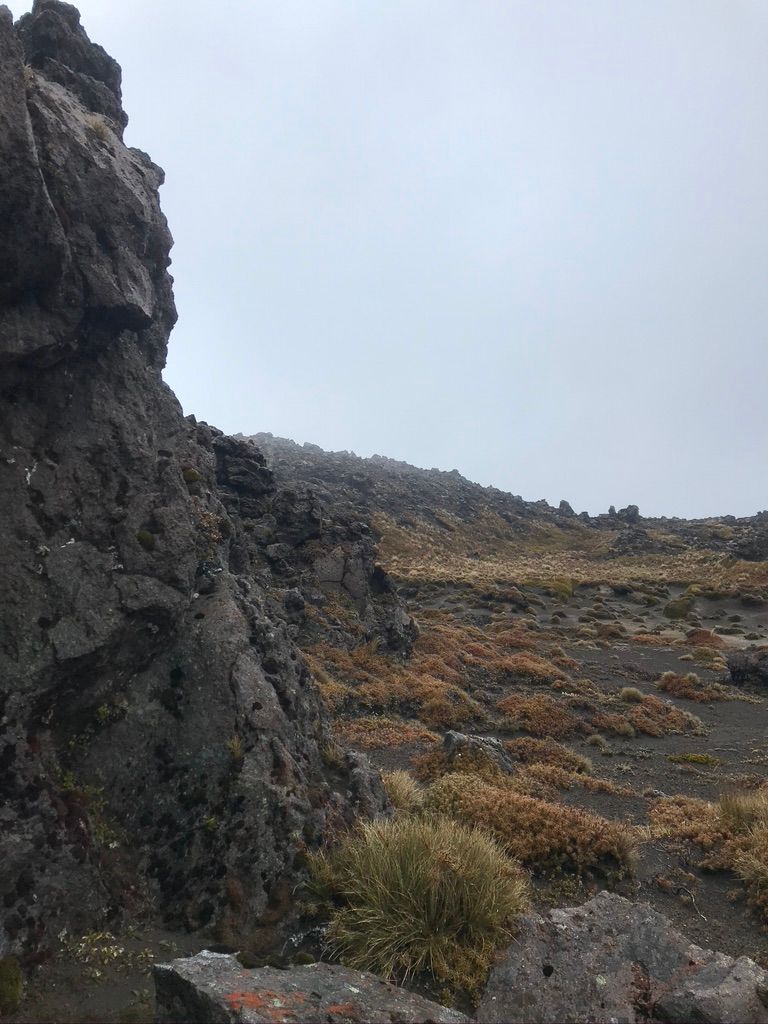 Le Tongariro sous la pluie